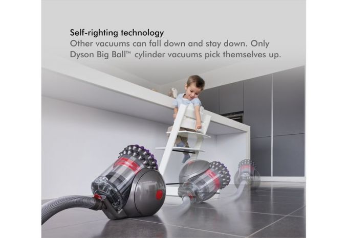 Dyson Big Ball Animal 2 Cylinder Vacuum Cleaner